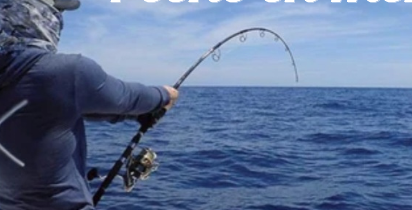 Pêche en mer
